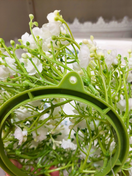 KUKKAKRANSSI, VAALEANPUNAINEN, Ø 22 cm