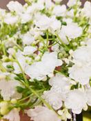 KUKKAKRANSSI, VALKOINEN, Ø 22 cm