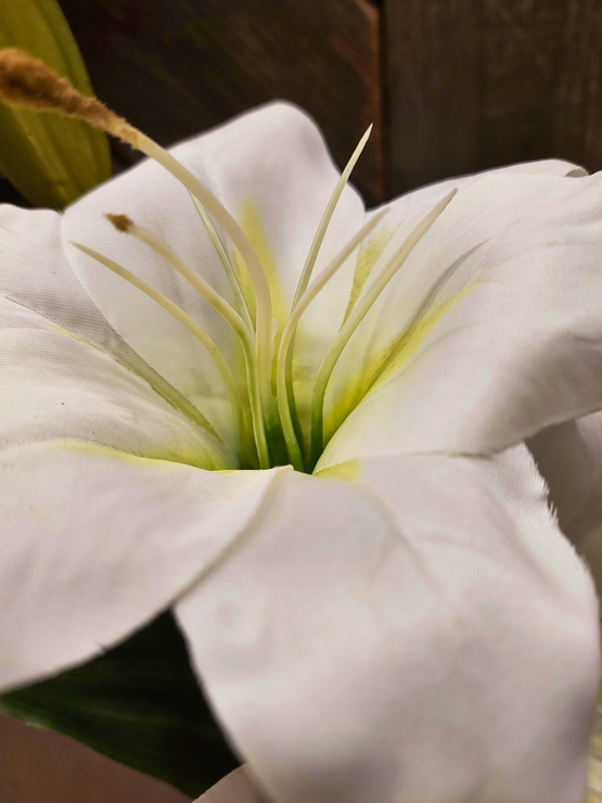 LILJA, VALKOINEN 66 cm