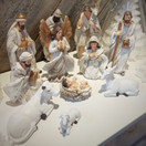 SEIMIKOKONAISUUS, SIS. 11 HAHMOA, koot 4-15 cm