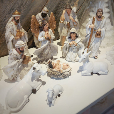 SEIMIKOKONAISUUS, SIS. 11 HAHMOA, koot 4-15 cm