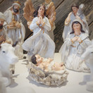 SEIMIKOKONAISUUS, SIS. 11 HAHMOA, koot 4-15 cm