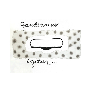 TYYNYNLIINA YLIOPPILASLAKKI HARMAA 50x60 cm