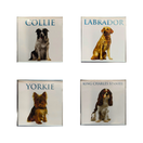 JÄÄKAAPPIMAGNEETTI KOIRA, lajitelma 6,5x6,5 cm