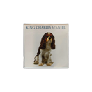 JÄÄKAAPPIMAGNEETTI KOIRA, lajitelma 6,5x6,5 cm