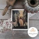 KEITTIÖLIINA, KUUSENHAKU