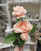 RUUSUOKSA 3 KUKALLA, VAALEANPUNAINEN 57 cm