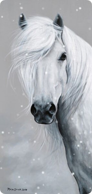 POSTIKORTTI, LIINU erikoiskoko 19 x 9cm