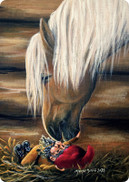 POSTIKORTTI, TAPANINPÄIVÄN TORKUT