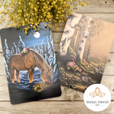 LEIKKUULAUTA, HEMMO 30x20 cm