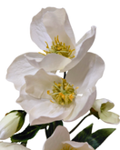 JOULURUUSU, VALKOINEN 57 cm