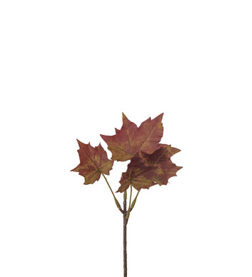 VAAHTERANLEHTI, TUMMA 20 cm