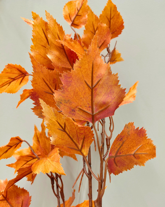 SYYSOKSA KOIVU 80 cm