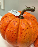 KORISTEKURPITSA, ORANSSI 15x14 cm