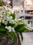 KIELOKIMPPU, 3 KPL/VALKOINEN 25 cm