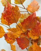 SYYSOKSA KOIVU 65 cm