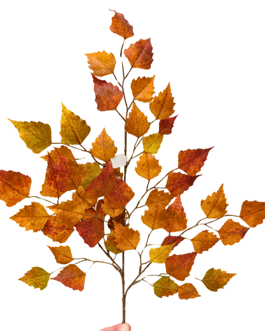 SYYSOKSA KOIVU 65 cm