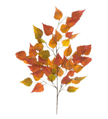 SYYSOKSA KOIVU 65 cm