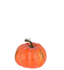 KORISTEKURPITSA, ORANSSI 15x14 cm