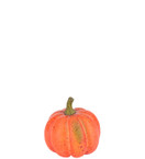 KORISTEKURPITSA, ORANSSI 10x9 cm