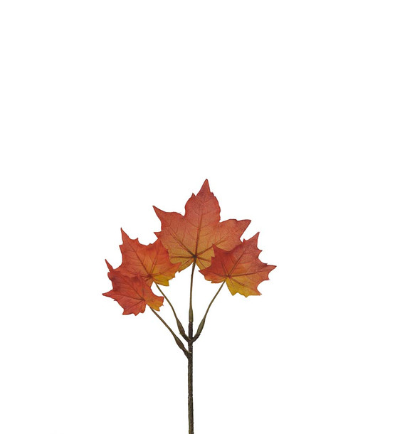 VAAHTERANLEHTI 20 cm