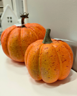 KORISTEKURPITSA, ORANSSI 15x14 cm