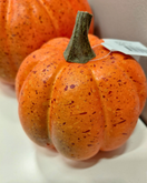 KORISTEKURPITSA, ORANSSI 10x9 cm