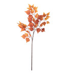 SYYSOKSA KOIVU 80 cm