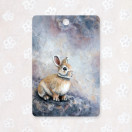 LEIKKUULAUTA, KAIPAUS 30x20 cm