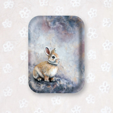 TARJOTIN, KAIPAUS, 20x27cm