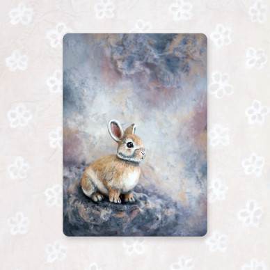 POSTIKORTTI A6, KAIPAUS