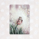 LEIKKUULAUTA, PIILOSILLA 30x20 cm