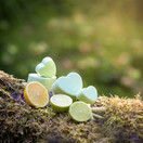 ONNI, SUOLASAIPPUA 120 g