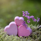 RAPARPERIHYVE, SUOLASAIPPUA 120 g