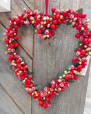 MARJASYDÄNKRANSSI, PUNAINEN, LAJITELMA 20 cm