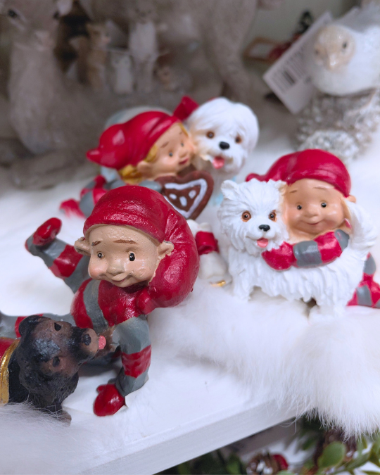 TONTTU JA KOIRA, LAJITELMA n.5x8 cm