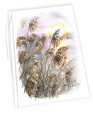 ADRESSI, Järviruo´ot