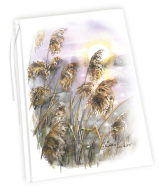 ADRESSI, Järviruo´ot