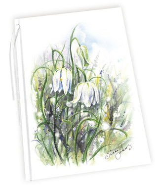 ADRESSI, Pikarililja