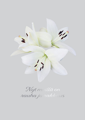 KORTTI A6, Rauha ja Rakkaus , 2-osainen