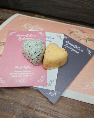 KIITOS ON PIENI SANA, HOITOKASSI