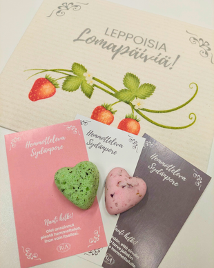 LEPPOISIA LOMAPÄIVIÄ, HOITOKASSI