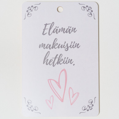 LEIKKUULAUTA, ELÄMÄN MAKUISIIN HETKIIN 30x20 cm