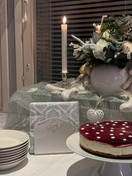 SERVETTITELINE, VALKOINEN 13x12,5x4 cm