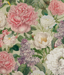 TISKIRÄTTI, VÄRIKKÄÄT KUKAT