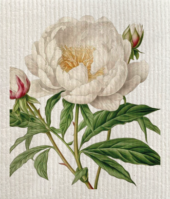 TISKIRÄTTI, VALKOINEN PIONI