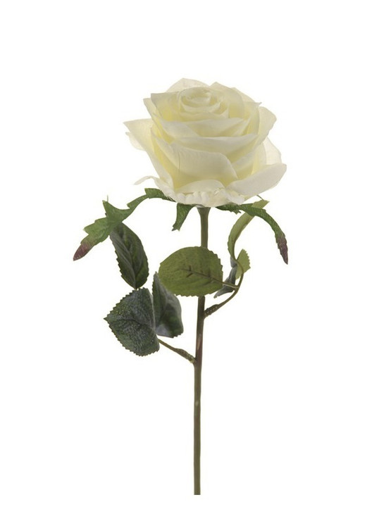 RUUSU VALKOINEN 45 CM
