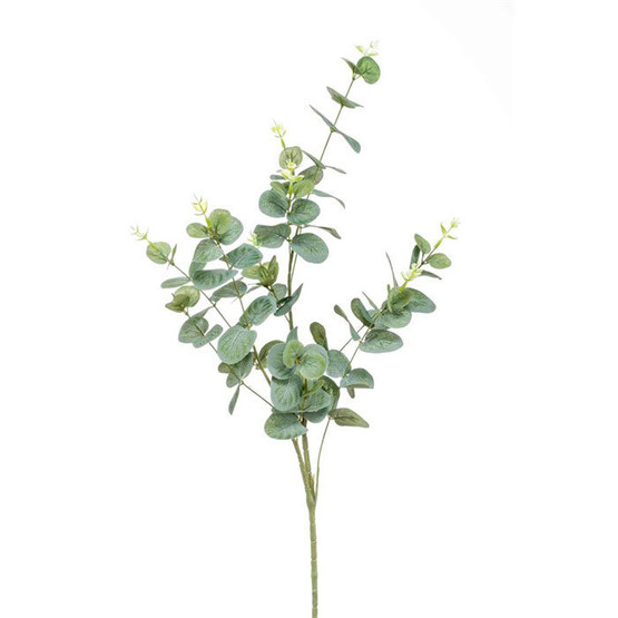 EUCALYPTUS OKSA, HOPEANVIHREÄ 75 cm