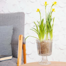 JALALLINEN LASIMALJAKKO, RAITAKUVIO 11,5x15,5 cm