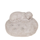 KOIRA JA TASSUNJÄLJET 16x12,50x10 cm